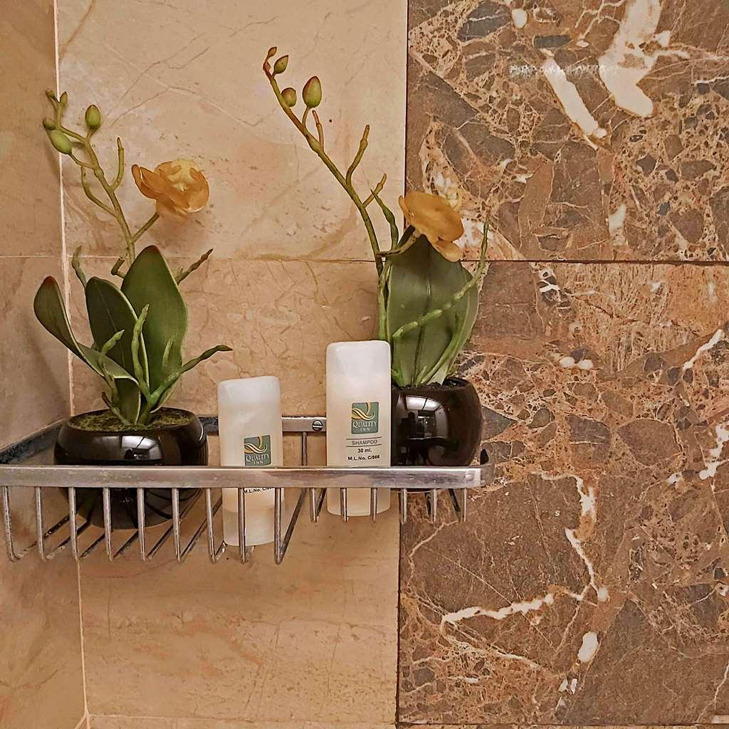 Quality Mint Hotel Pune